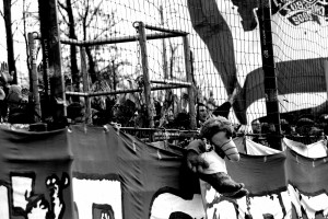 IMG 7518